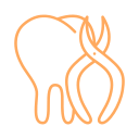 Tooth Icon